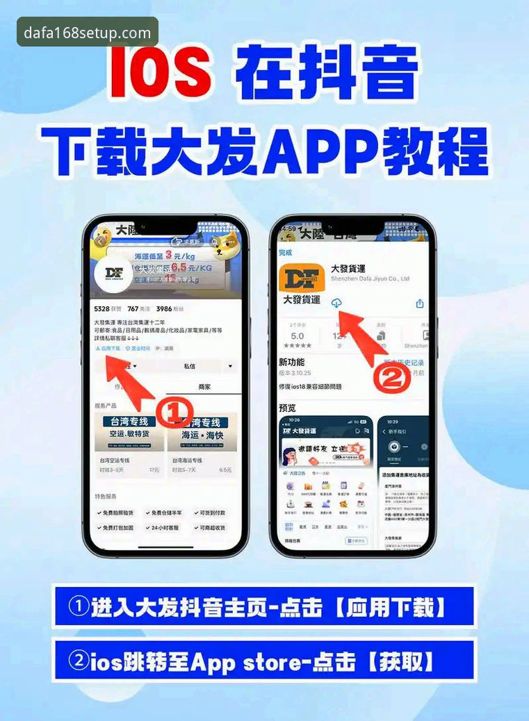 Dafa168官网 大发168安装服务的5个实用技巧,老用户王姐的真实体验分享